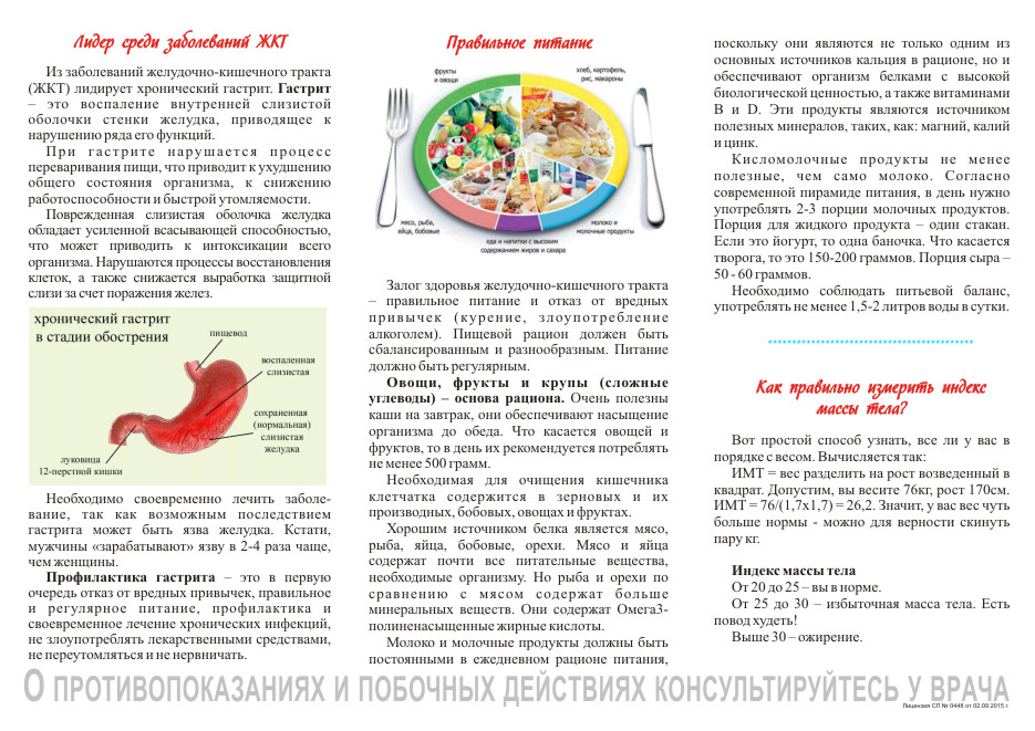 Брошюра по диетологии и лечению гастроэнтерологических заболеваний Брошюра по диетологии и лечению гастроэнтерологических заболеваний